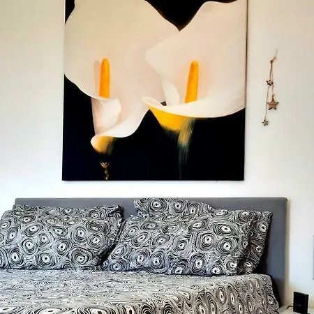Daire Giuly House *